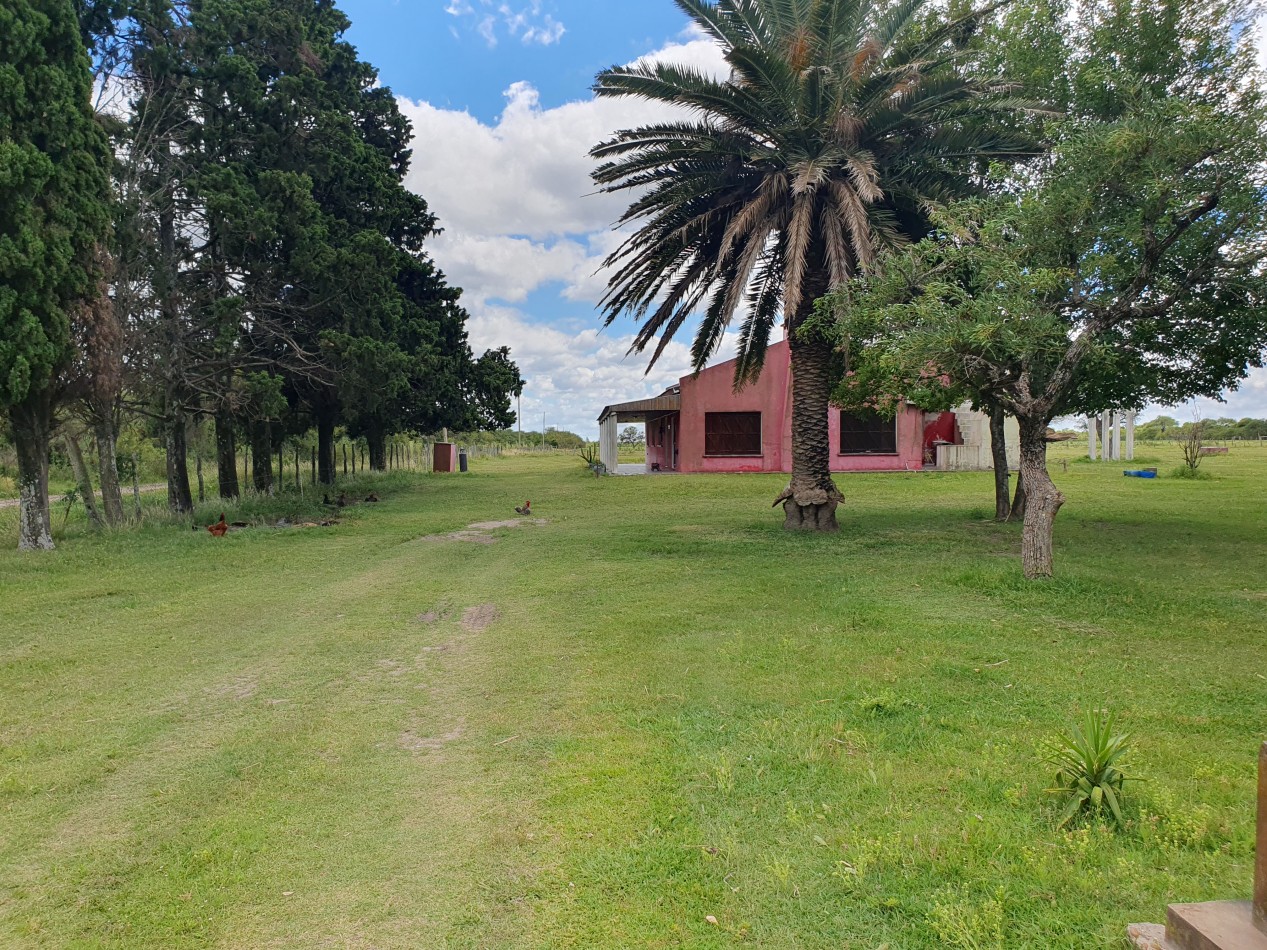 Se vende Campo Mixto 1120has  Feliciano!!!