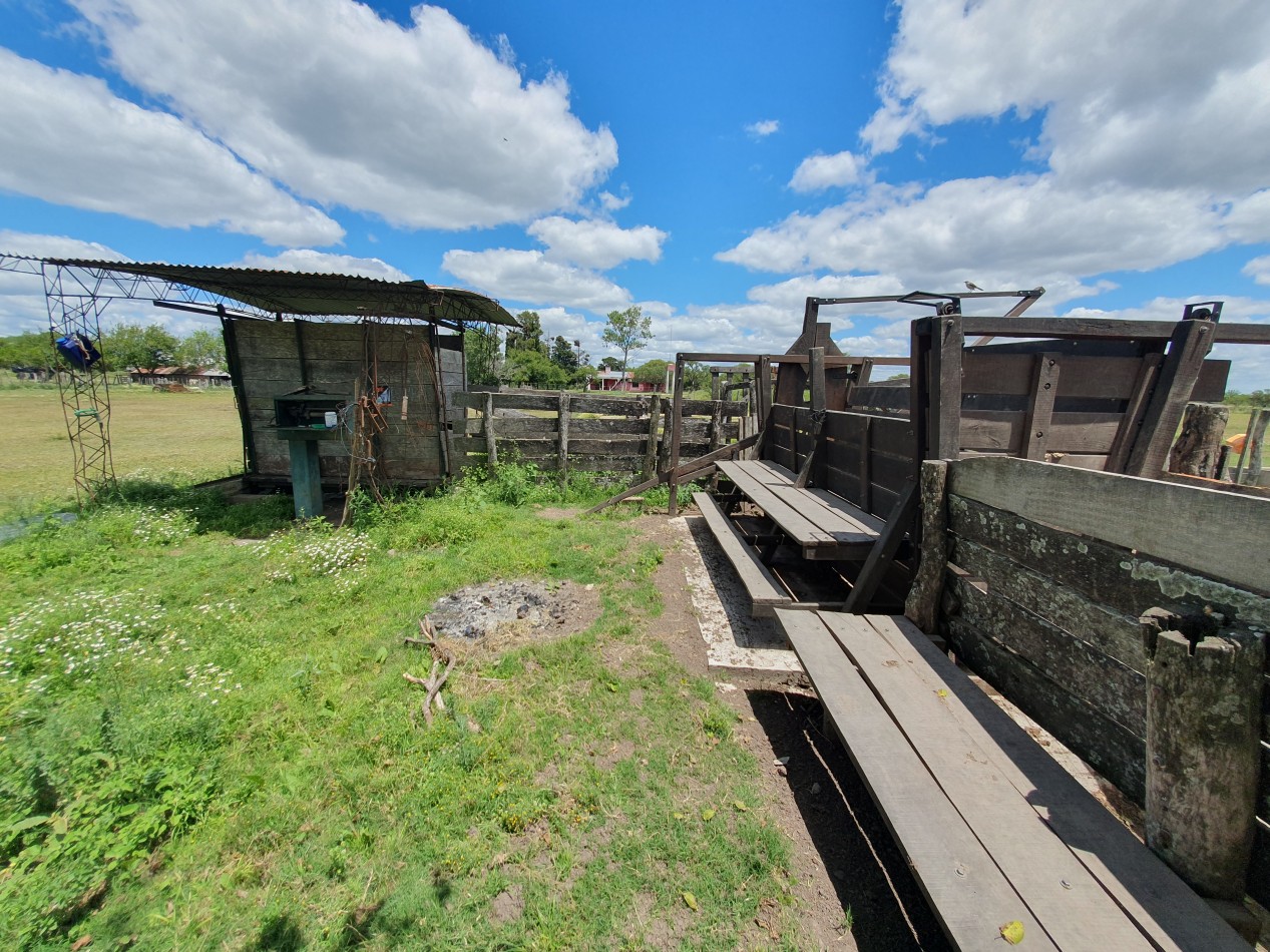 Se vende Campo Mixto 1120has  Feliciano!!!