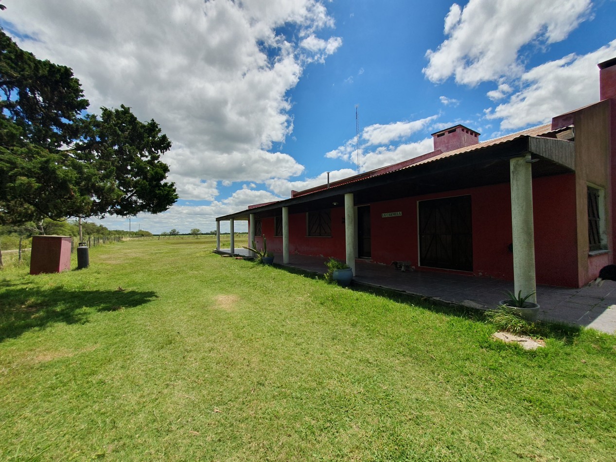 Se vende Campo Mixto 1120has  Feliciano!!!