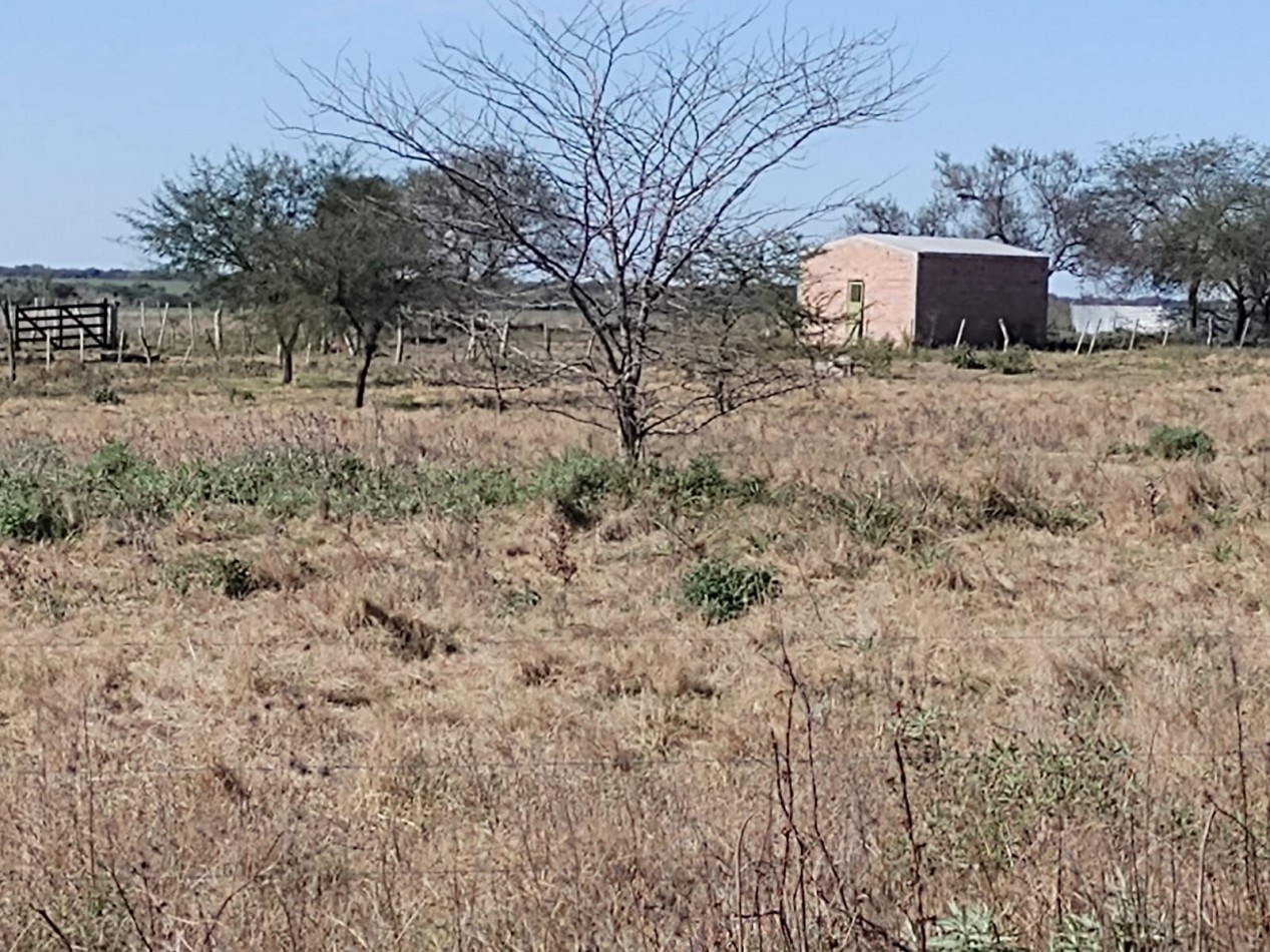 Se vende campo 224has La Paz E. R.