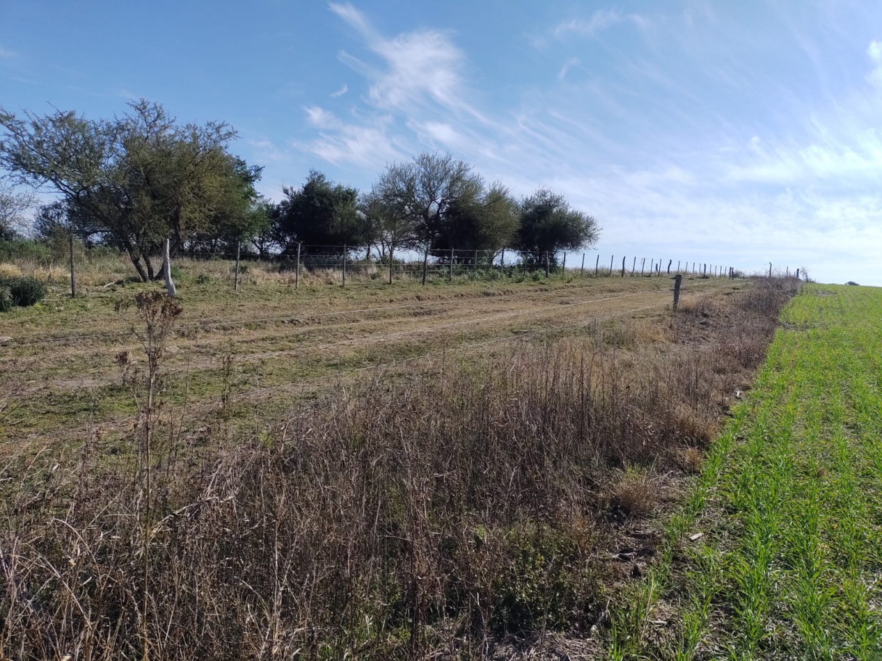 Se vende campo 224has La Paz E. R.