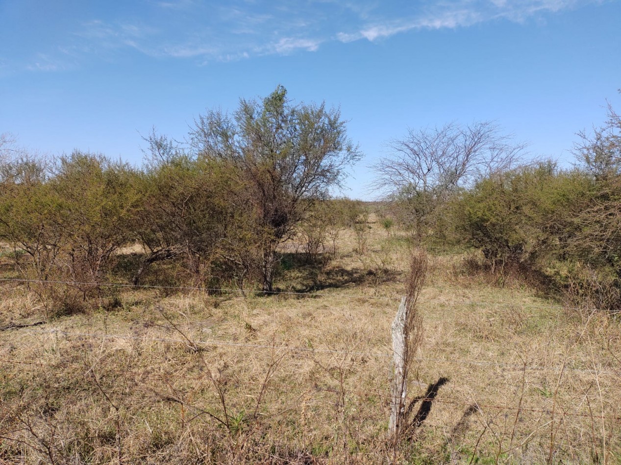 Se vende campo 224has La Paz E. R.