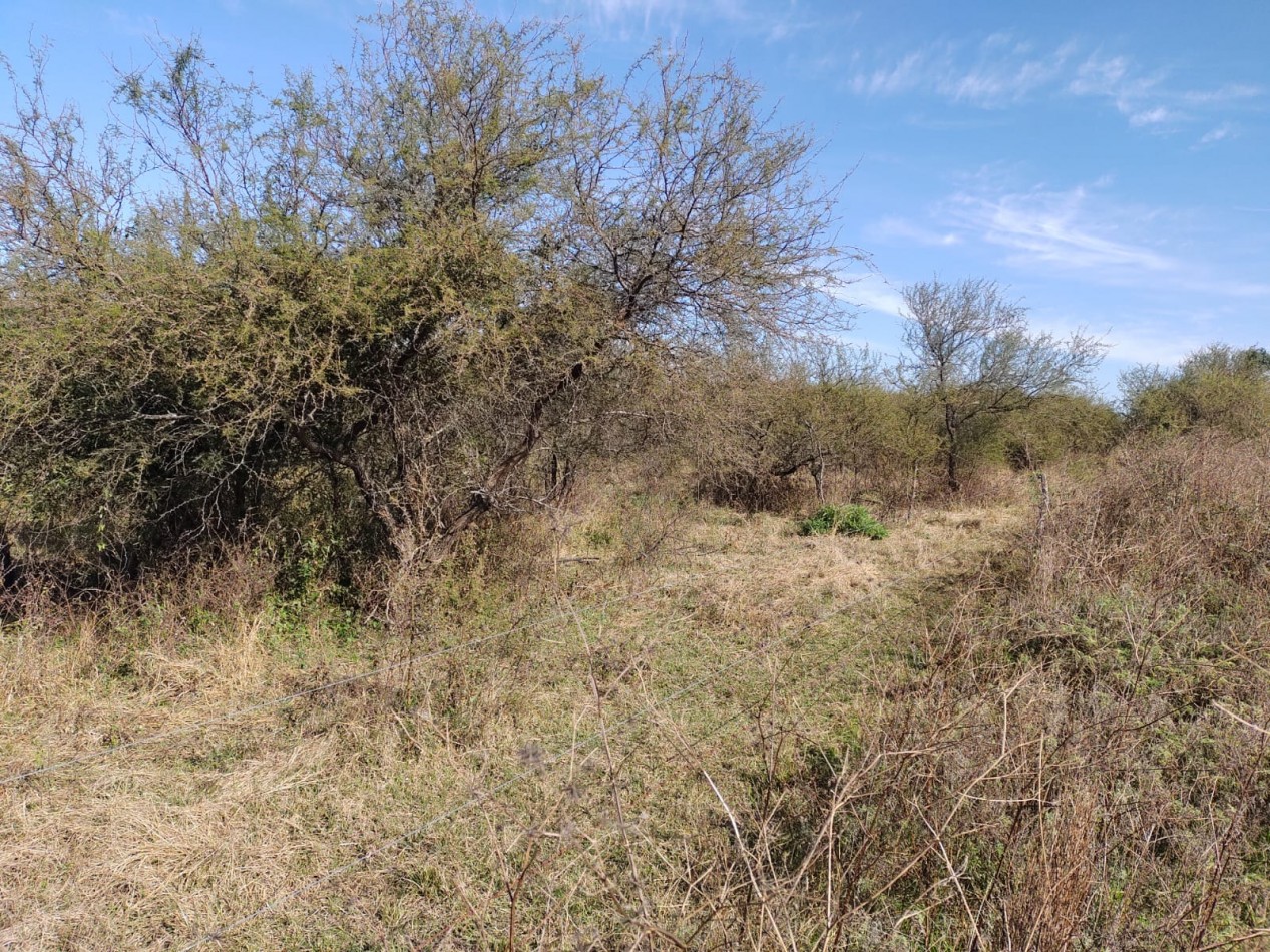 Se vende campo 224has La Paz E. R.