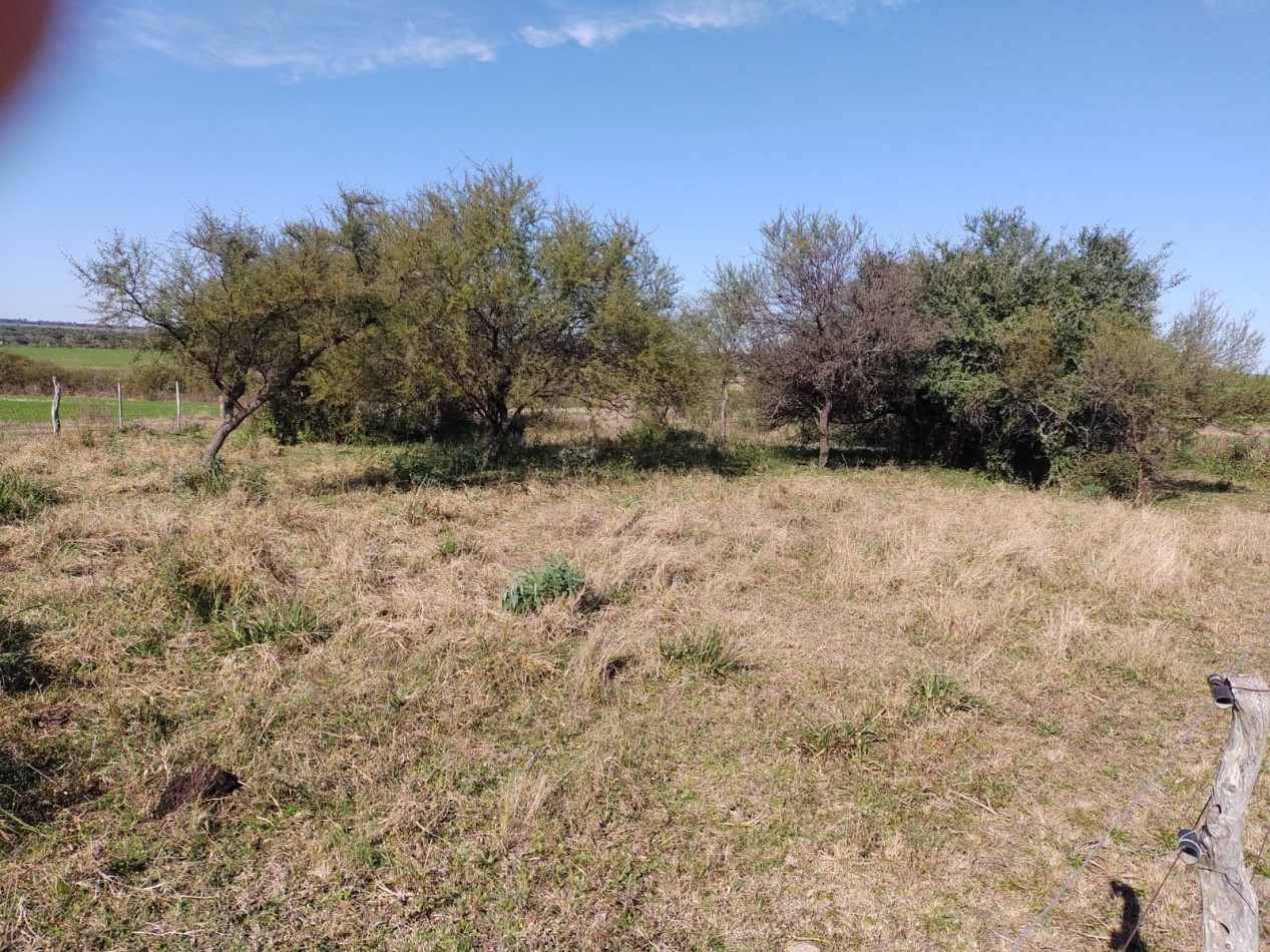 Se vende campo 224has La Paz E. R.