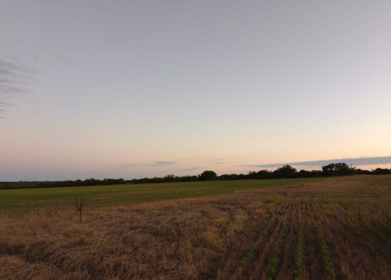 Se vende campo 224has La Paz E. R.