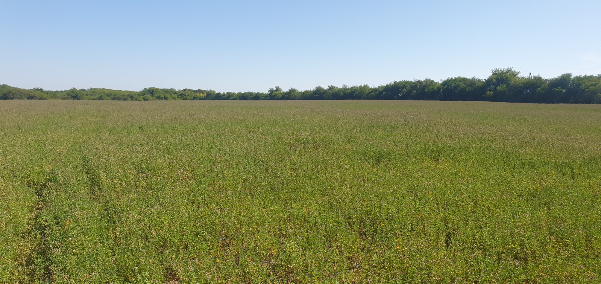 Se venden  campo mixto de 122,5has