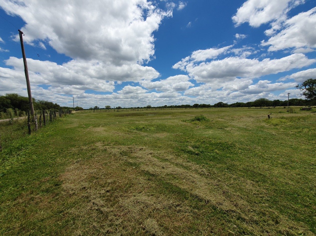 Se vende Campo Mixto 1120has  Feliciano!!!