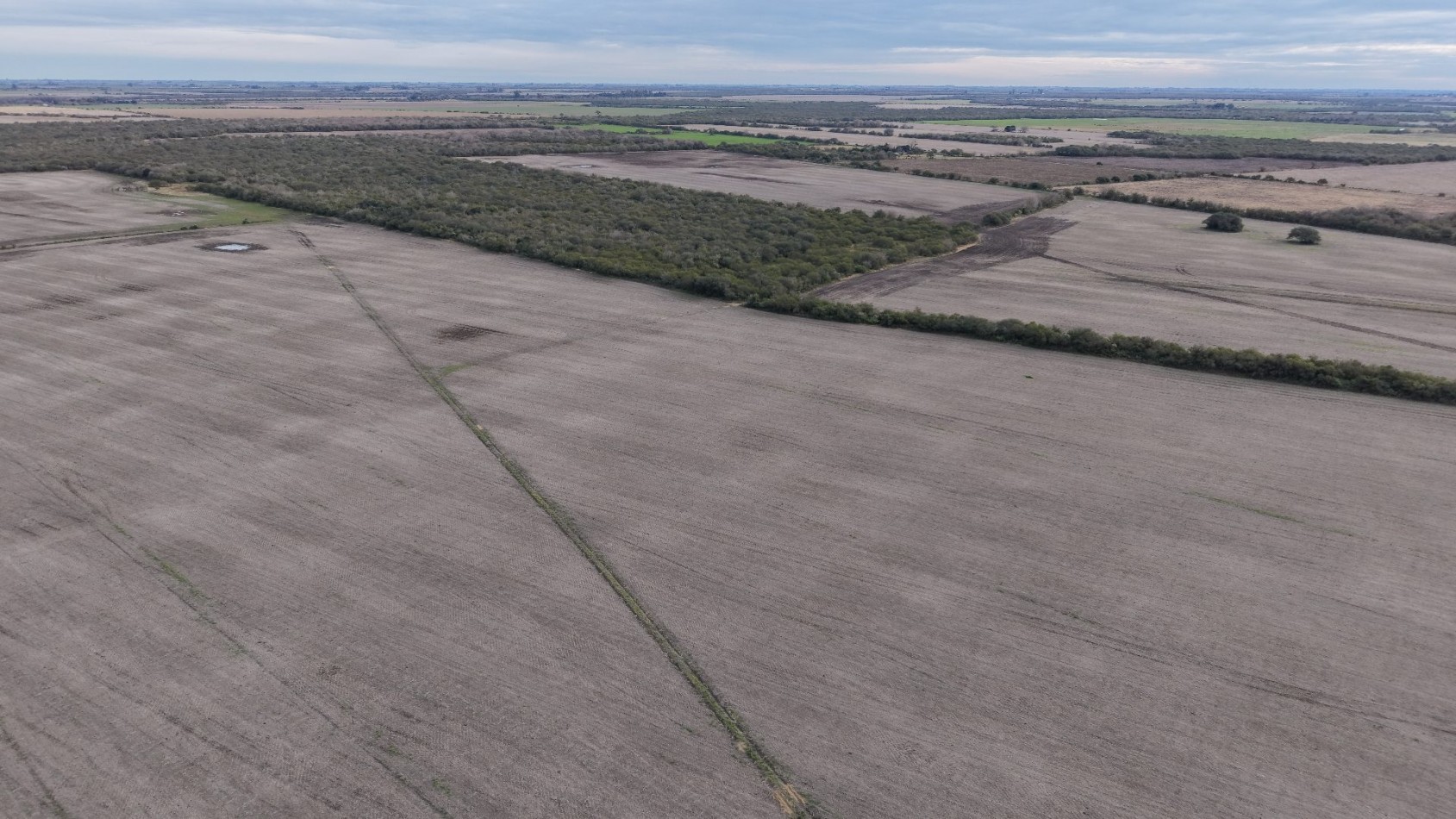 Campo Mixto de 170has en venta!!