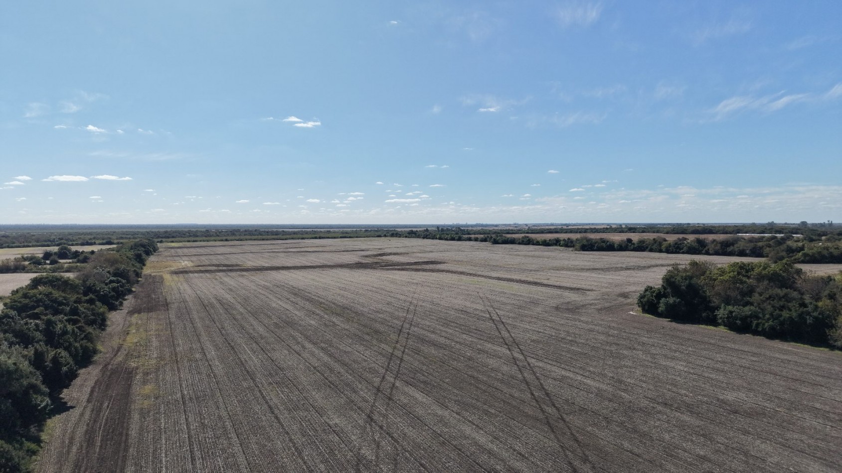 Campo Mixto de 300has con mejoras!!