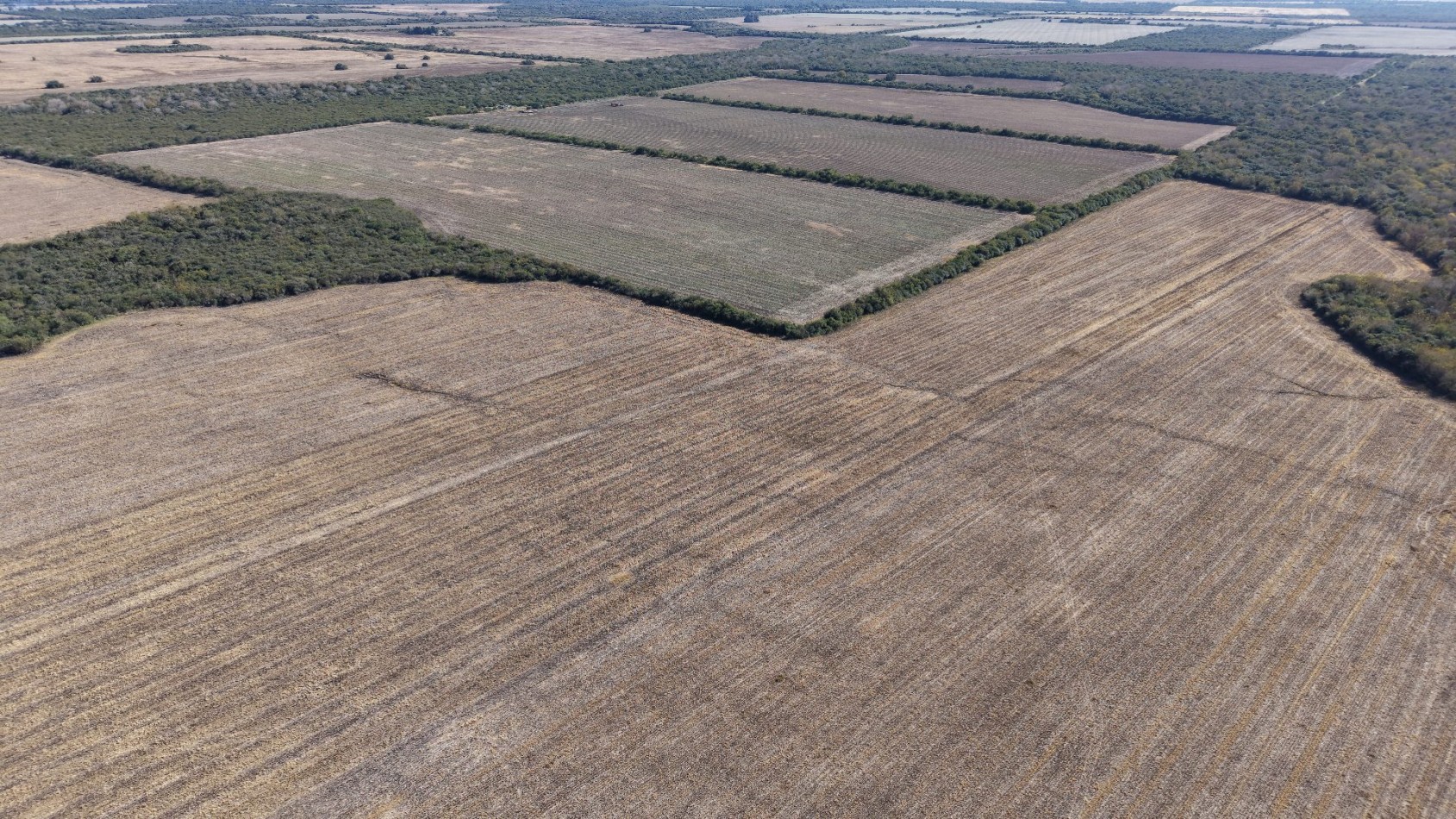 Campo Mixto de 300has con mejoras!!