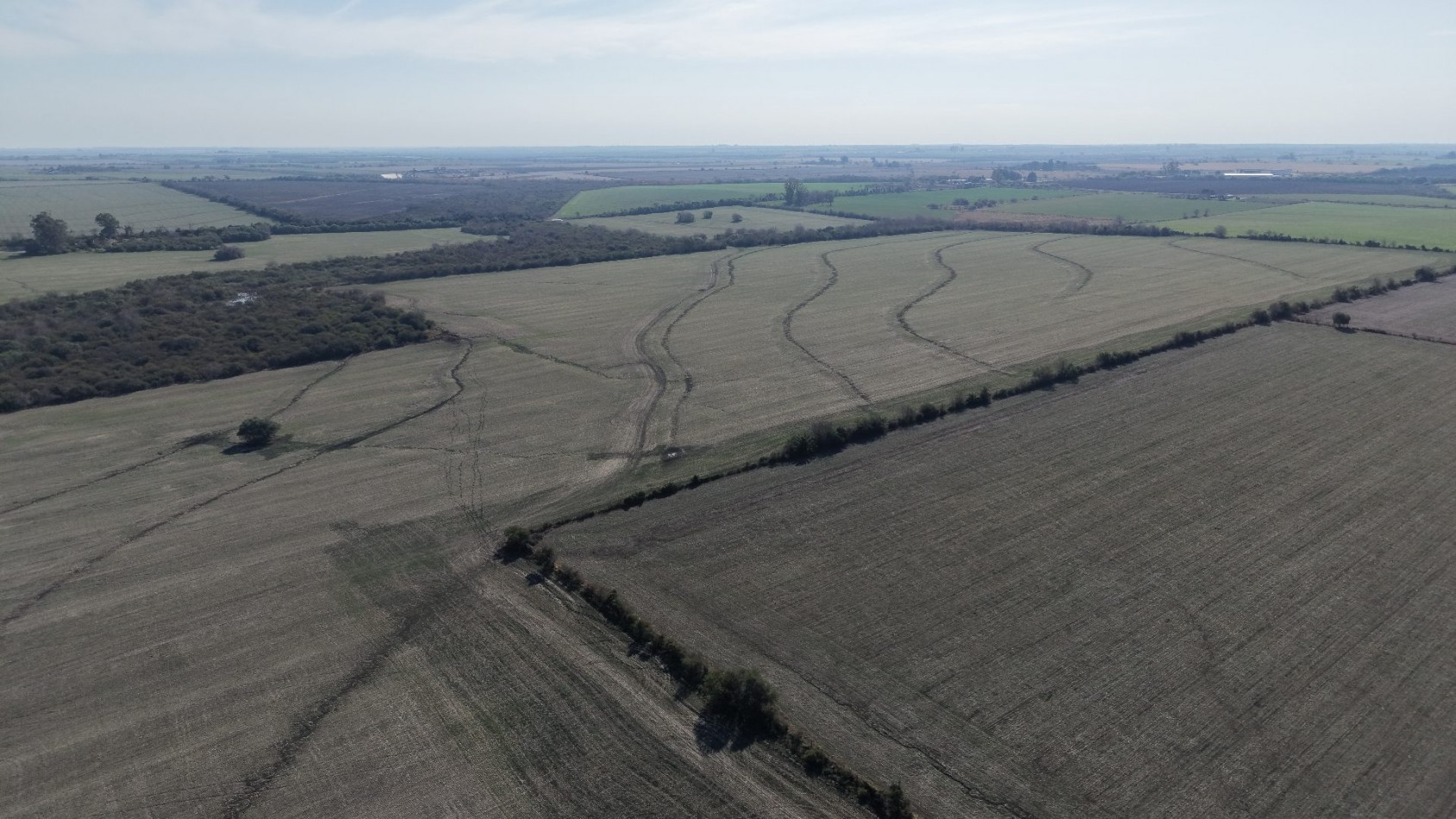Se venden 142 hectareas en Parana 