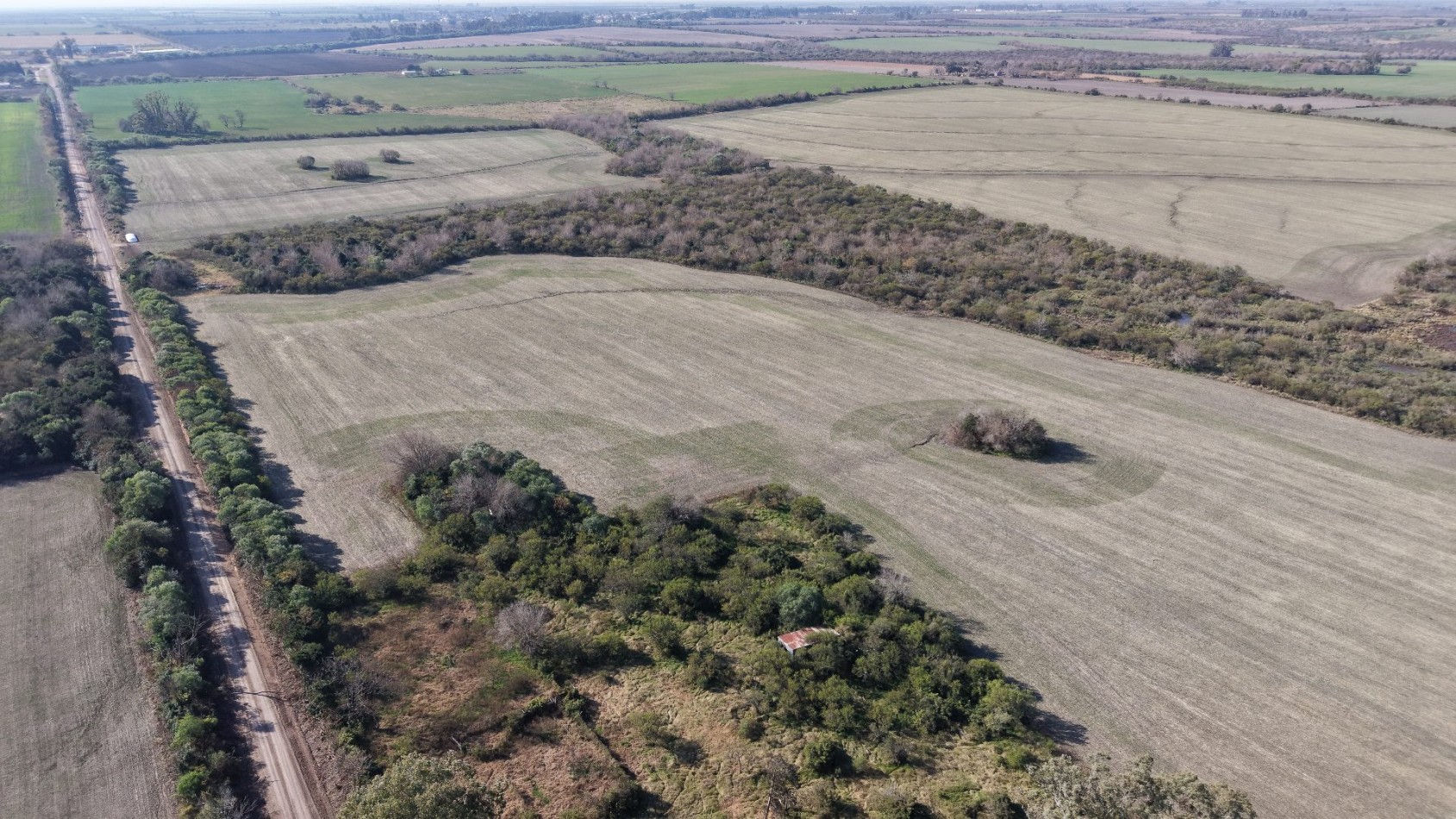 Se venden 142 hectareas en Parana 