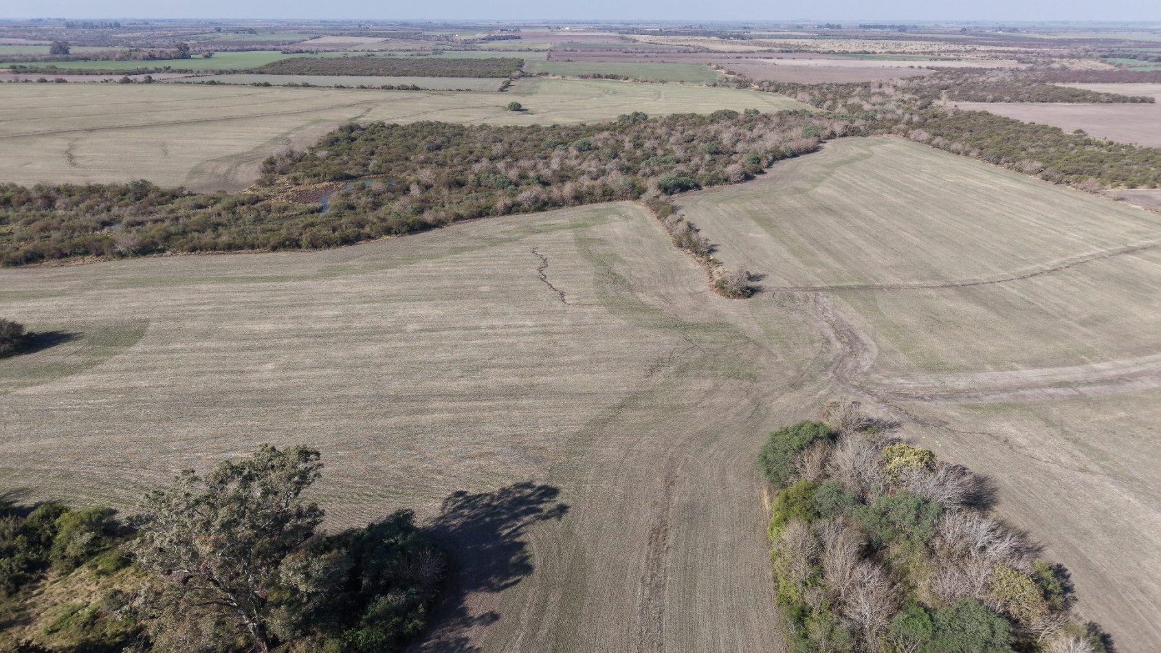 Se venden 142 hectareas en Parana 