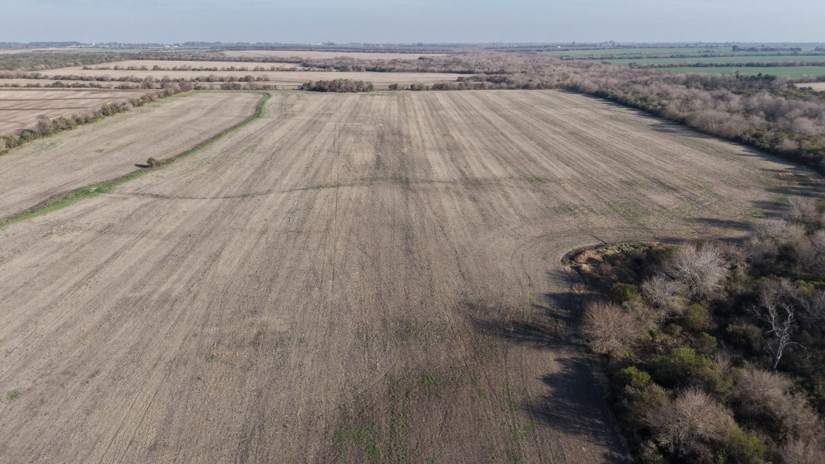Se venden 142 hectareas en Parana 