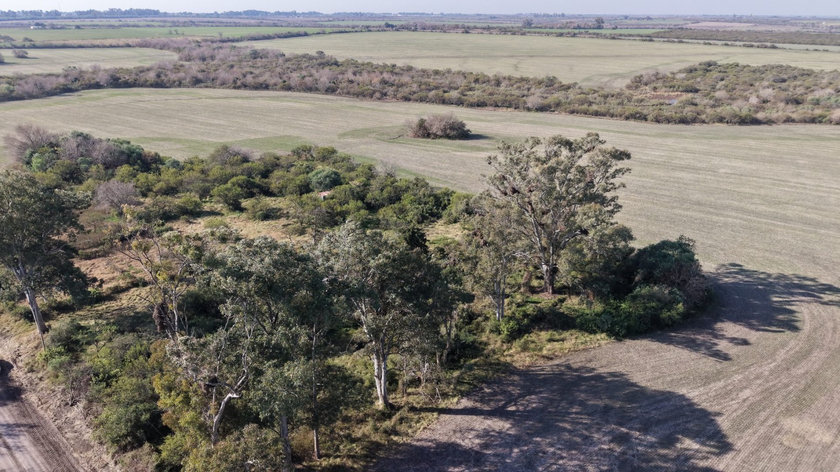 Se venden 142 hectareas en Parana 
