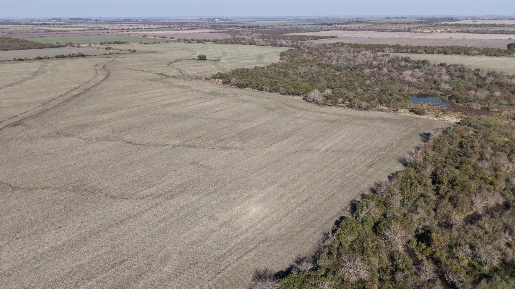 Se venden 142 hectareas en Parana 