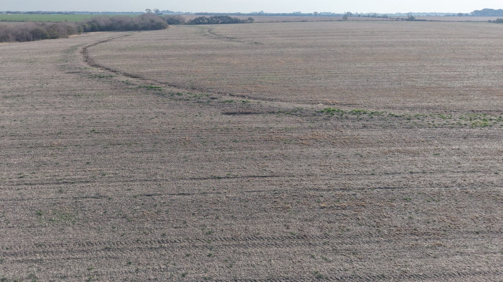 Se venden 142 hectareas en Parana 