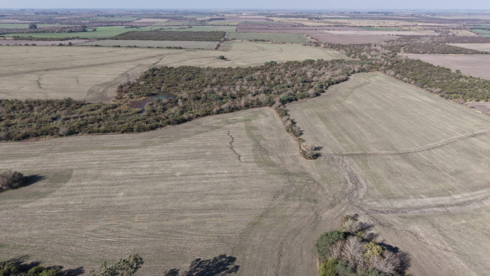 Se venden 142 hectareas en Parana 