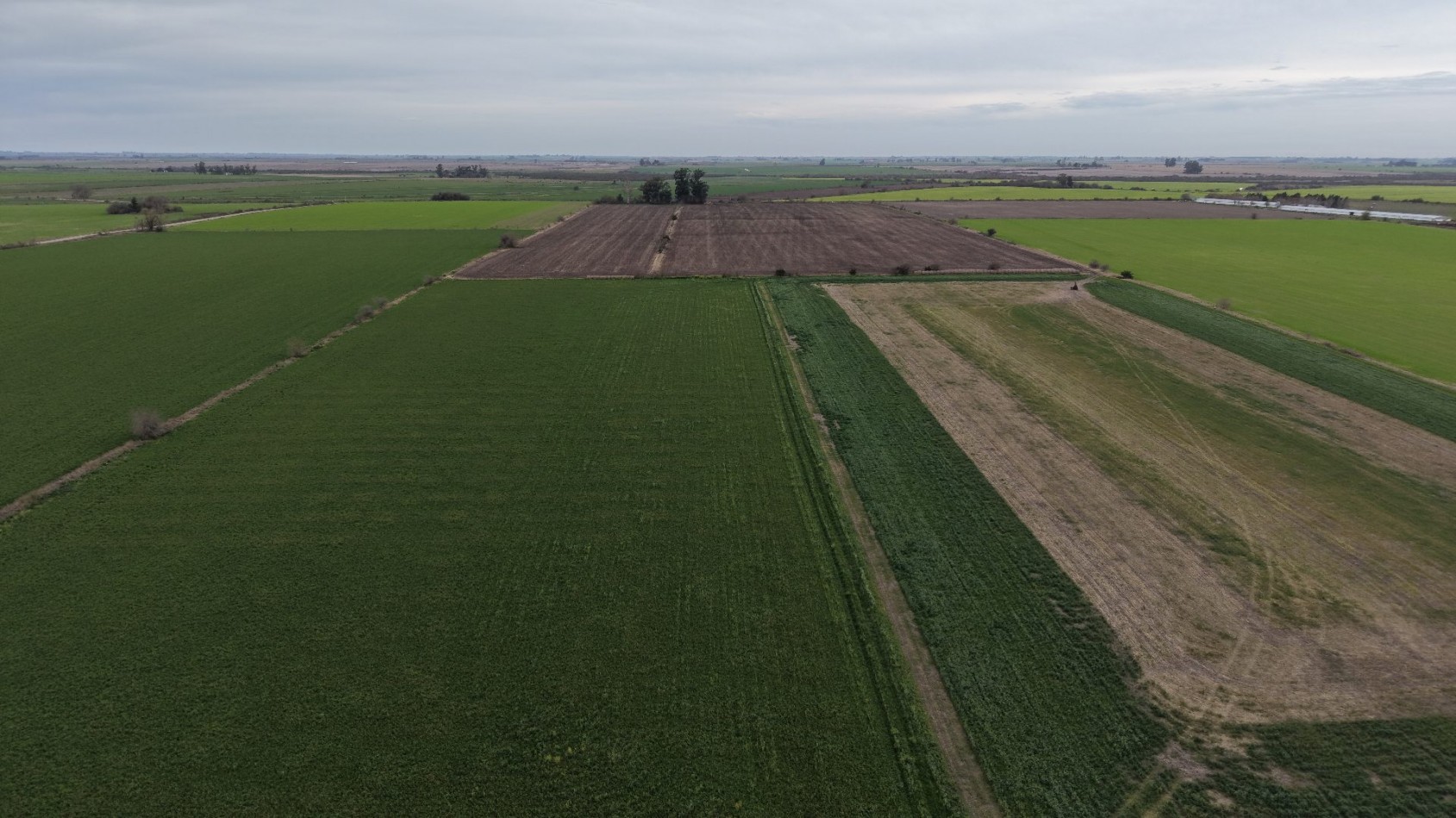 SE VENDEN 40HAS AGRICOLAS EN CRESPO!!!