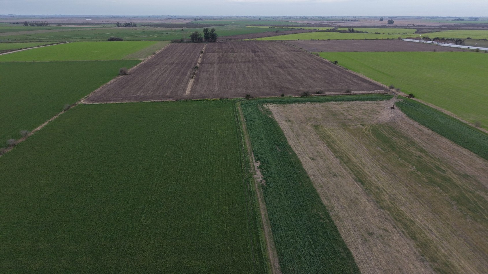 SE VENDEN 40HAS AGRICOLAS EN CRESPO!!!
