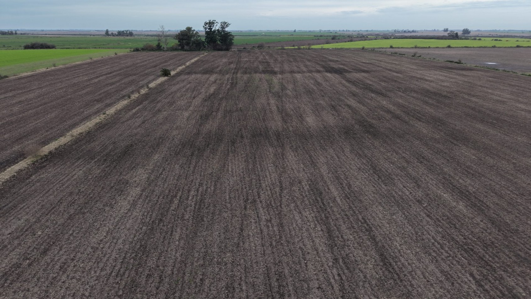 SE VENDEN 40HAS AGRICOLAS EN CRESPO!!!