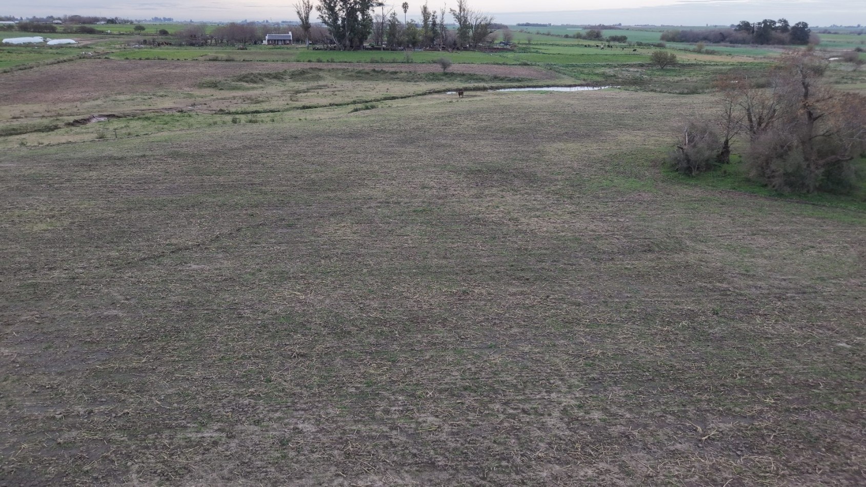 SE VENDEN 40HAS AGRICOLAS EN CRESPO!!!
