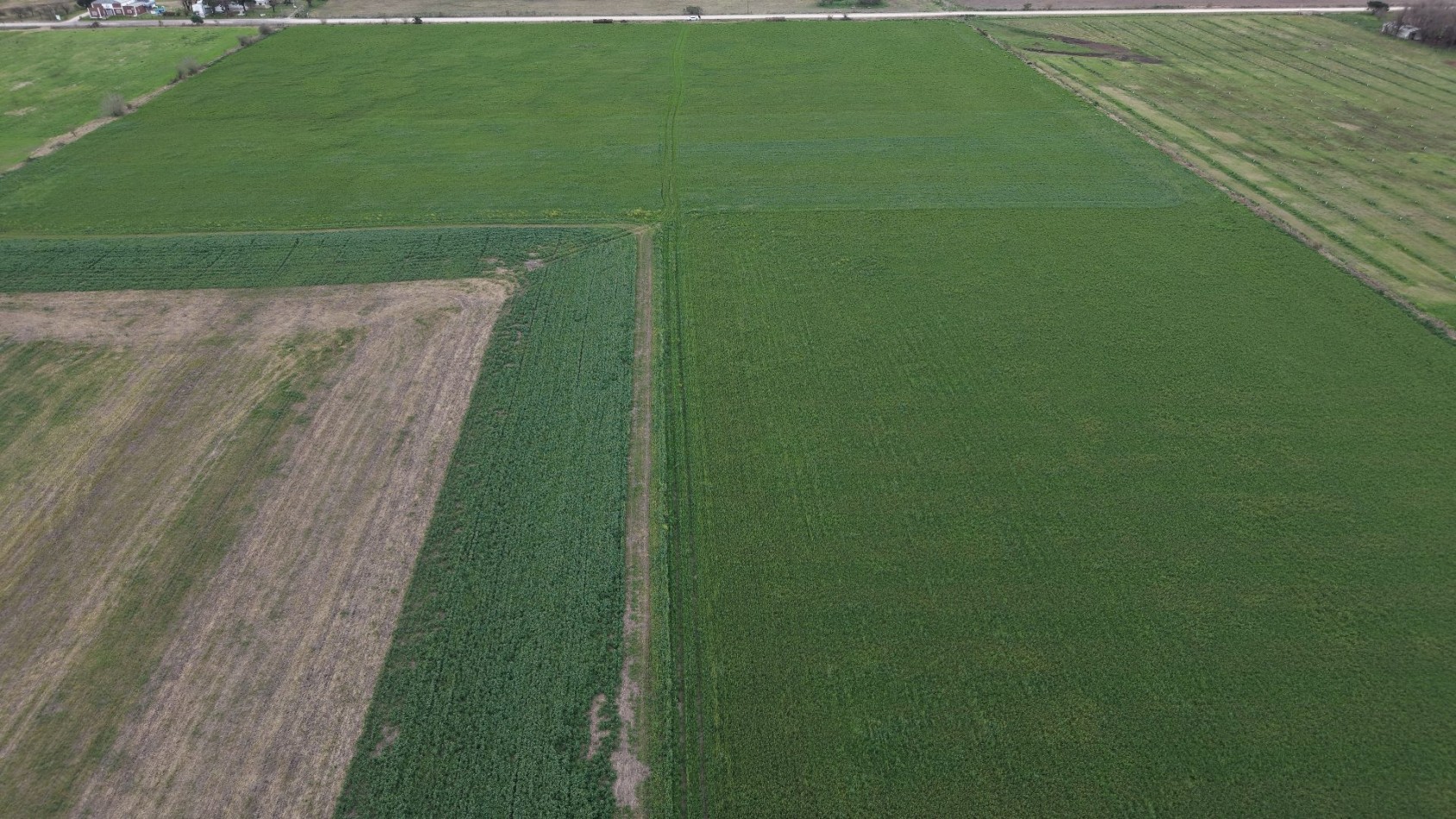 SE VENDEN 40HAS AGRICOLAS EN CRESPO!!!