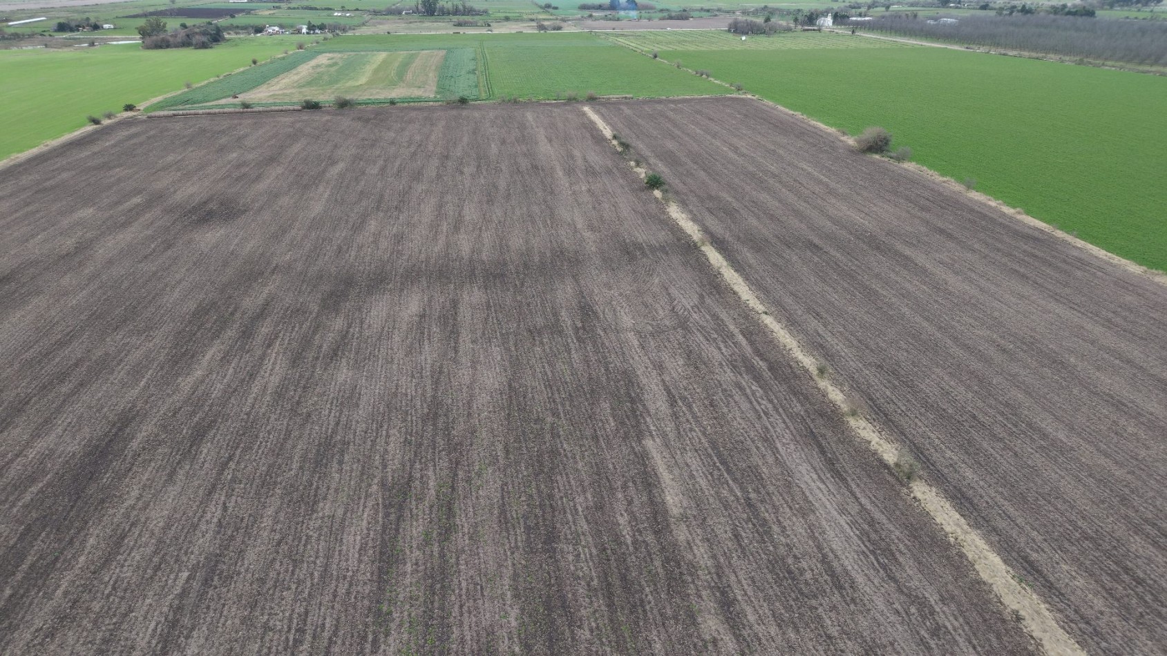 SE VENDEN 40HAS AGRICOLAS EN CRESPO!!!