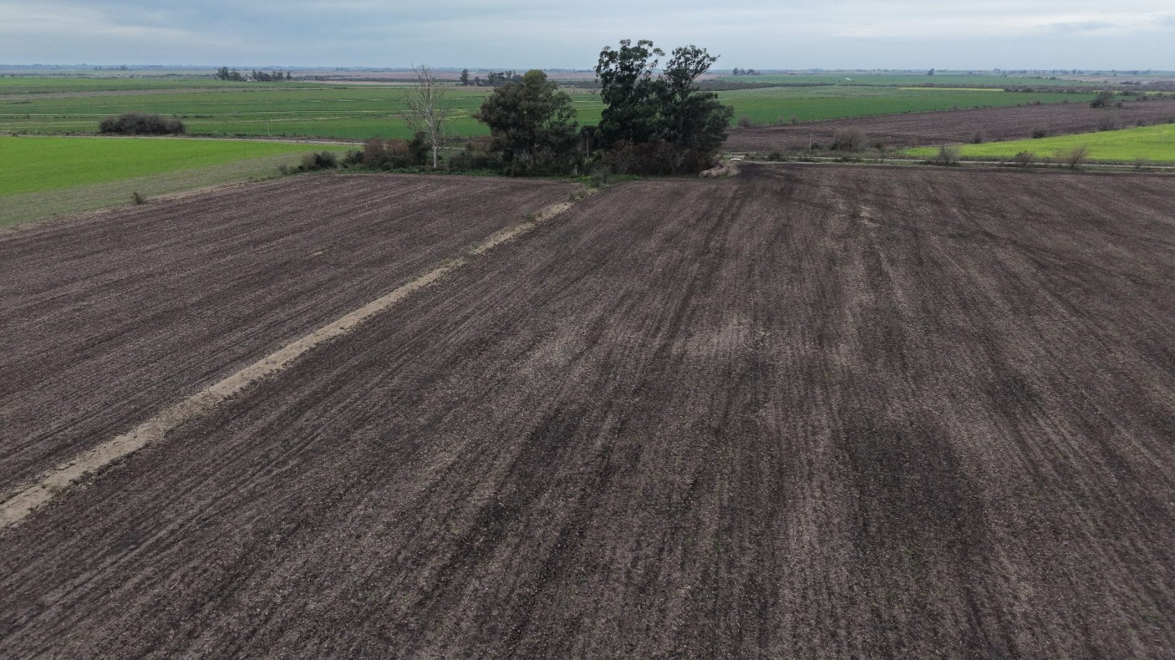 SE VENDEN 40HAS AGRICOLAS EN CRESPO!!!