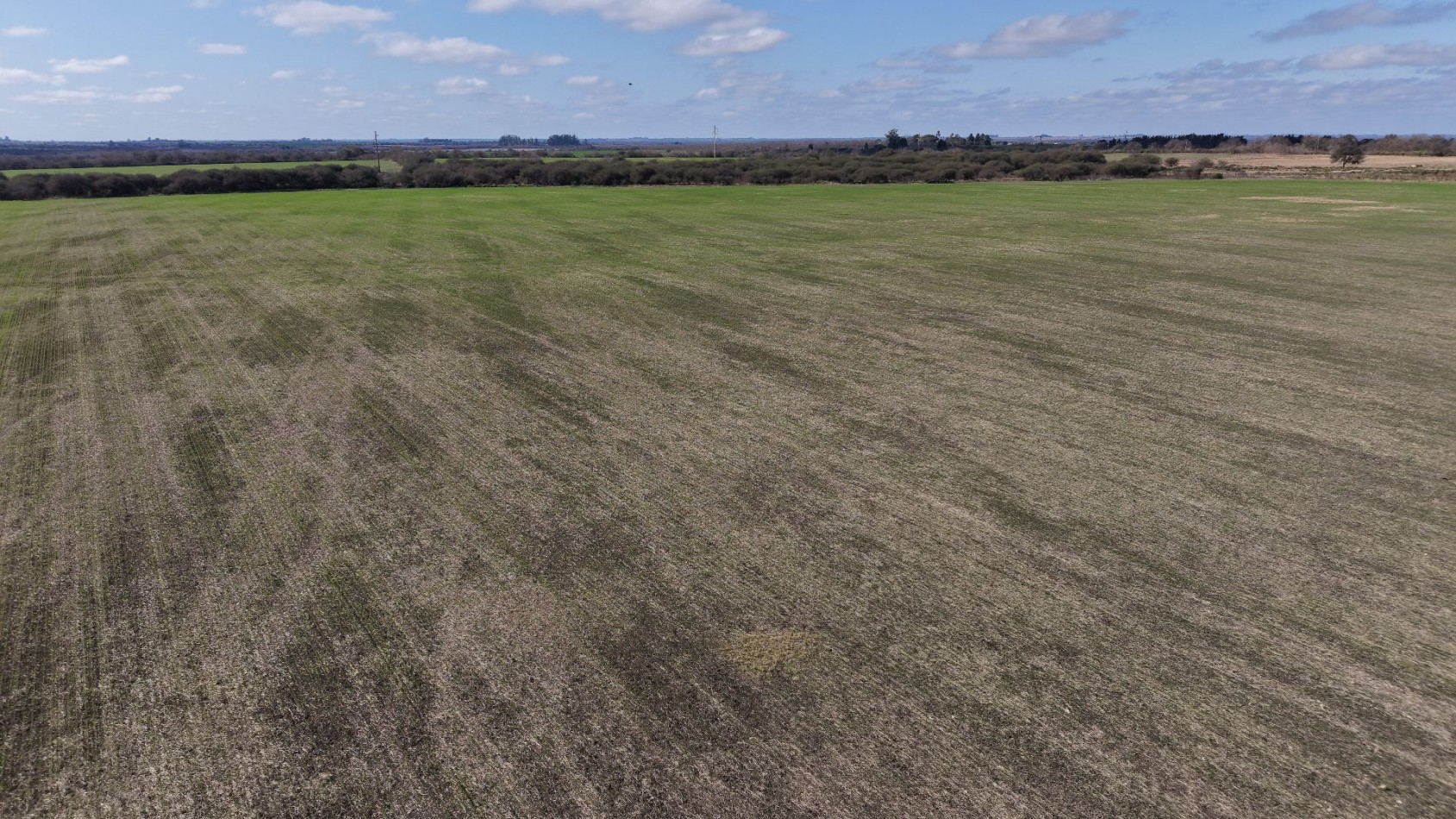 Se vende campo en Nogoya!!
