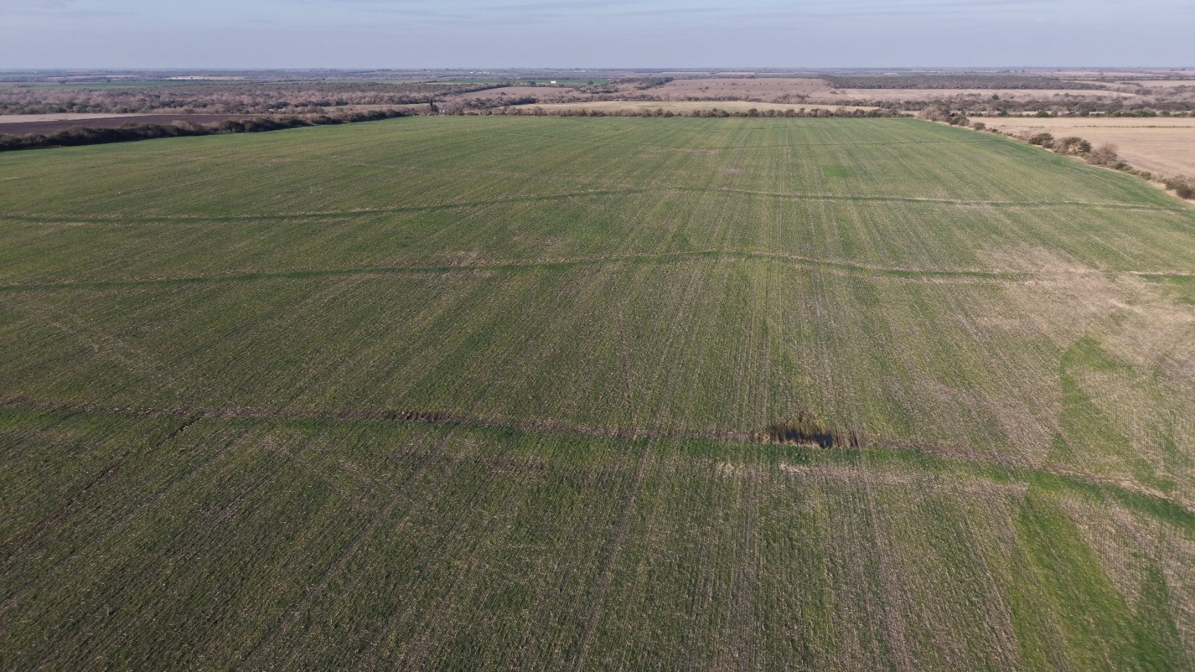 Se vende campo en Nogoya!!