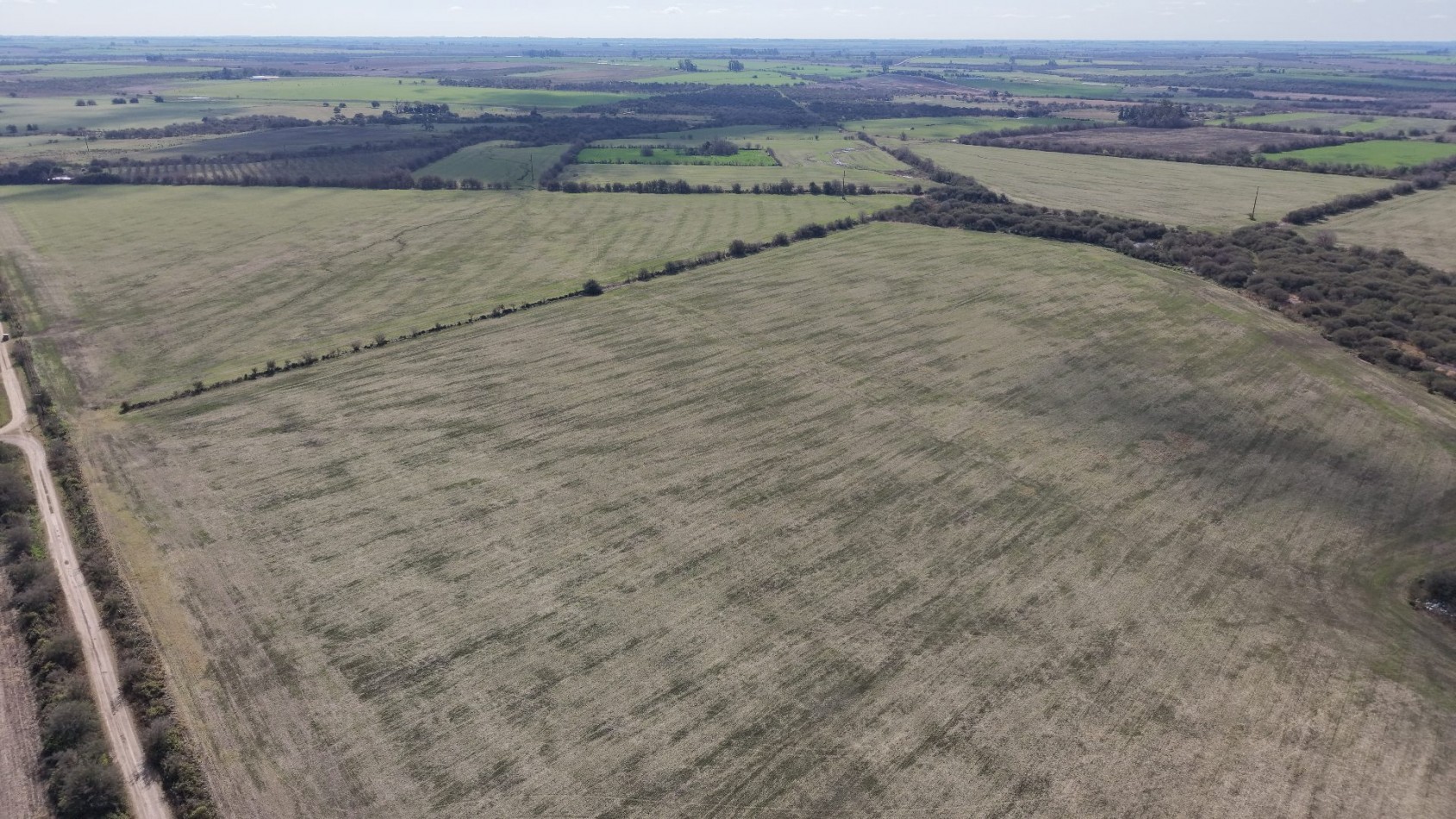 Se vende campo en Nogoya!!