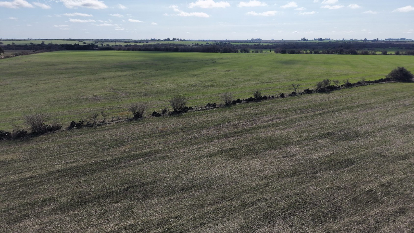 Se vende campo en Nogoya!!