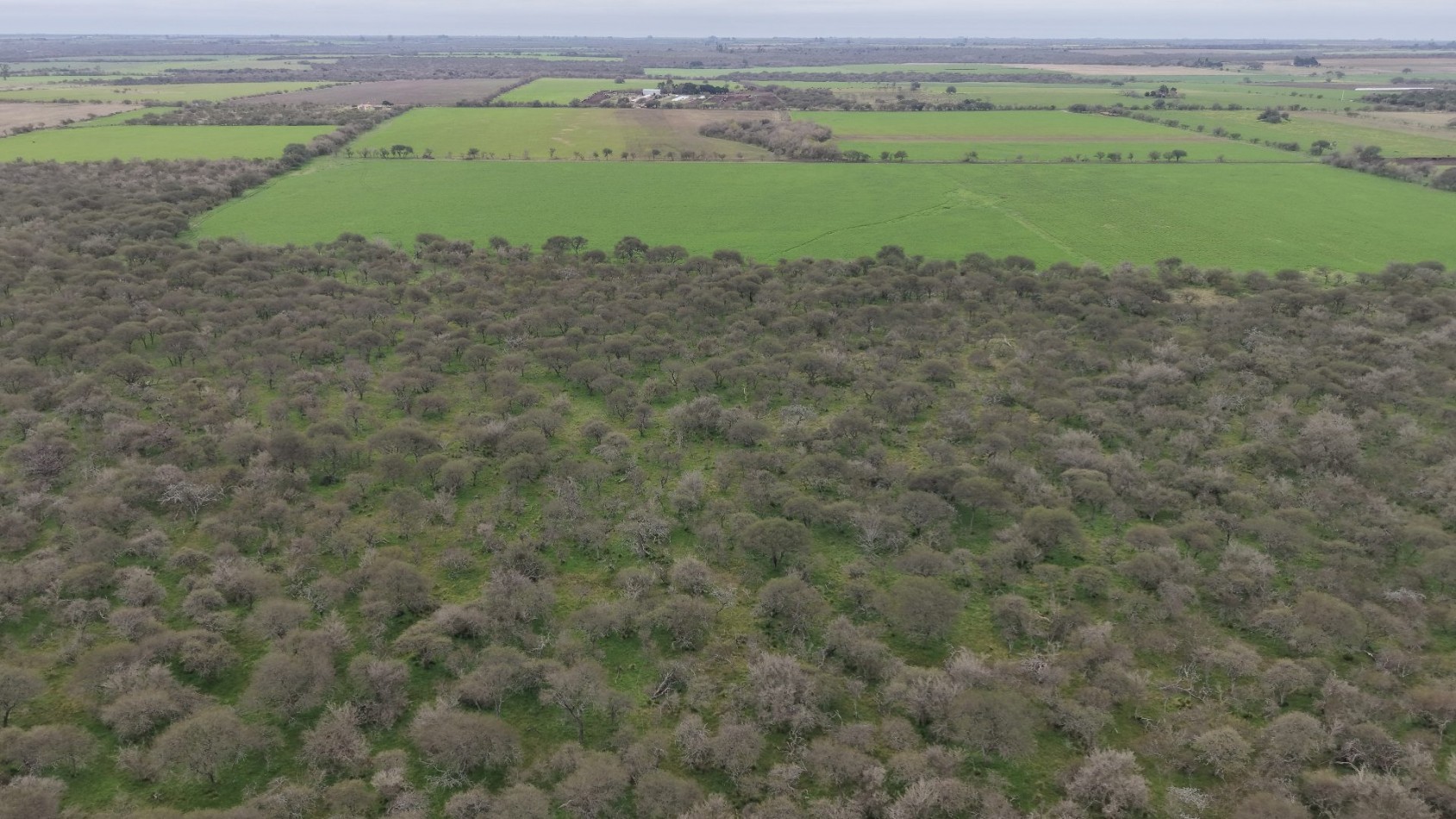 Venta de Campo Mixto- Excelente oportunidad
