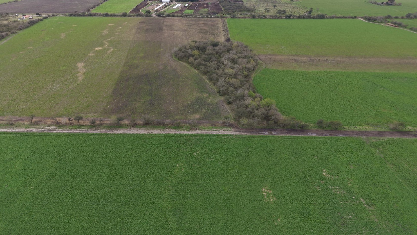 Venta de Campo Mixto- Excelente oportunidad