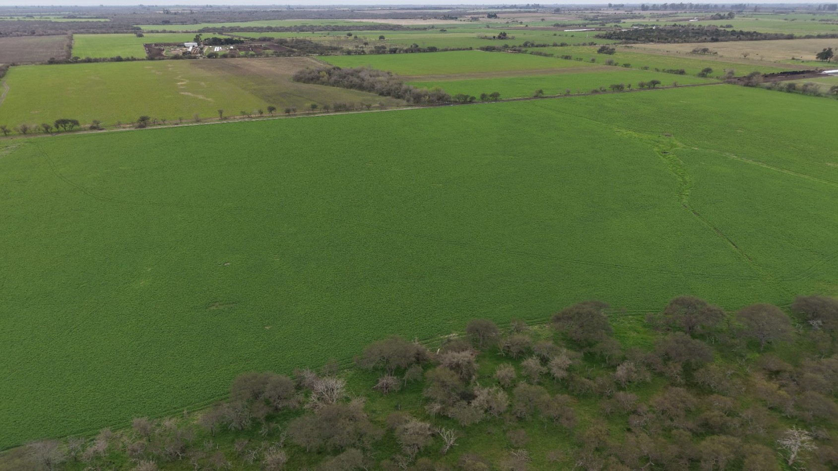 Venta de Campo Mixto- Excelente oportunidad