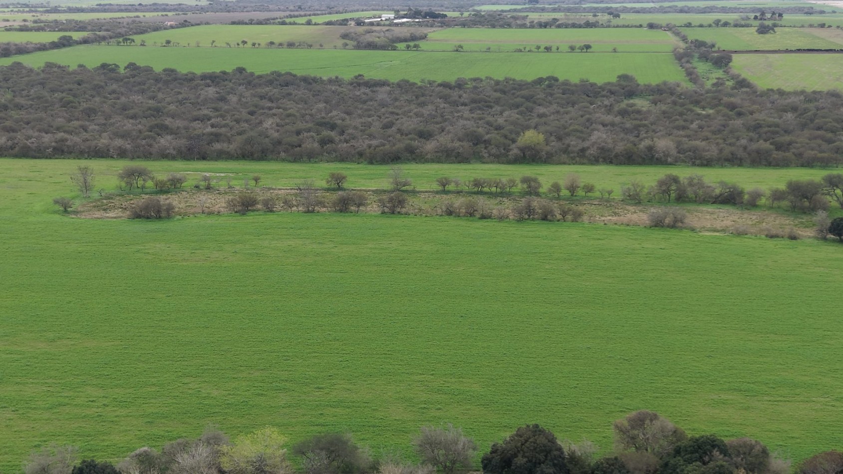 Venta de Campo Mixto- Excelente oportunidad