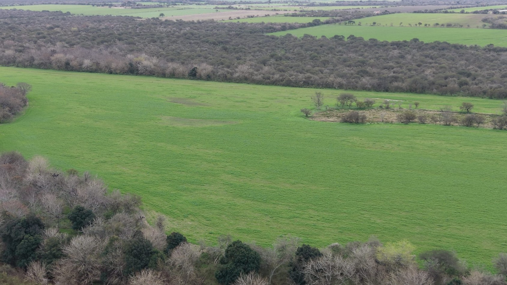 Venta de Campo Mixto- Excelente oportunidad