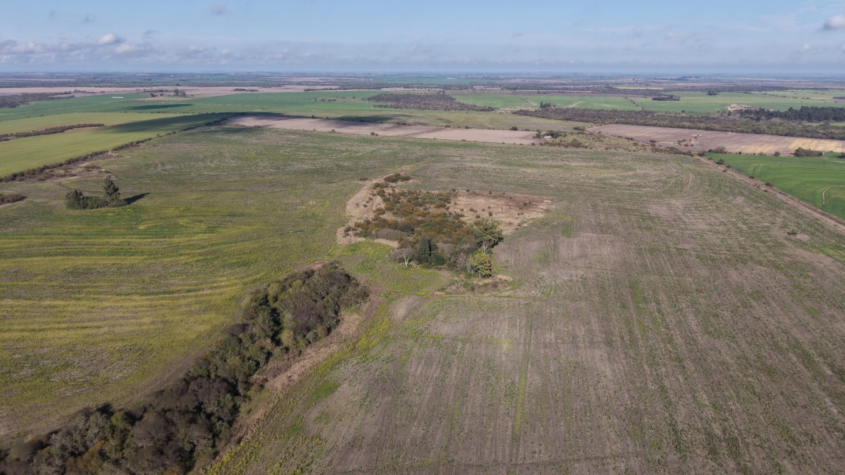 Se vende campo Agricola de 98has!!! 