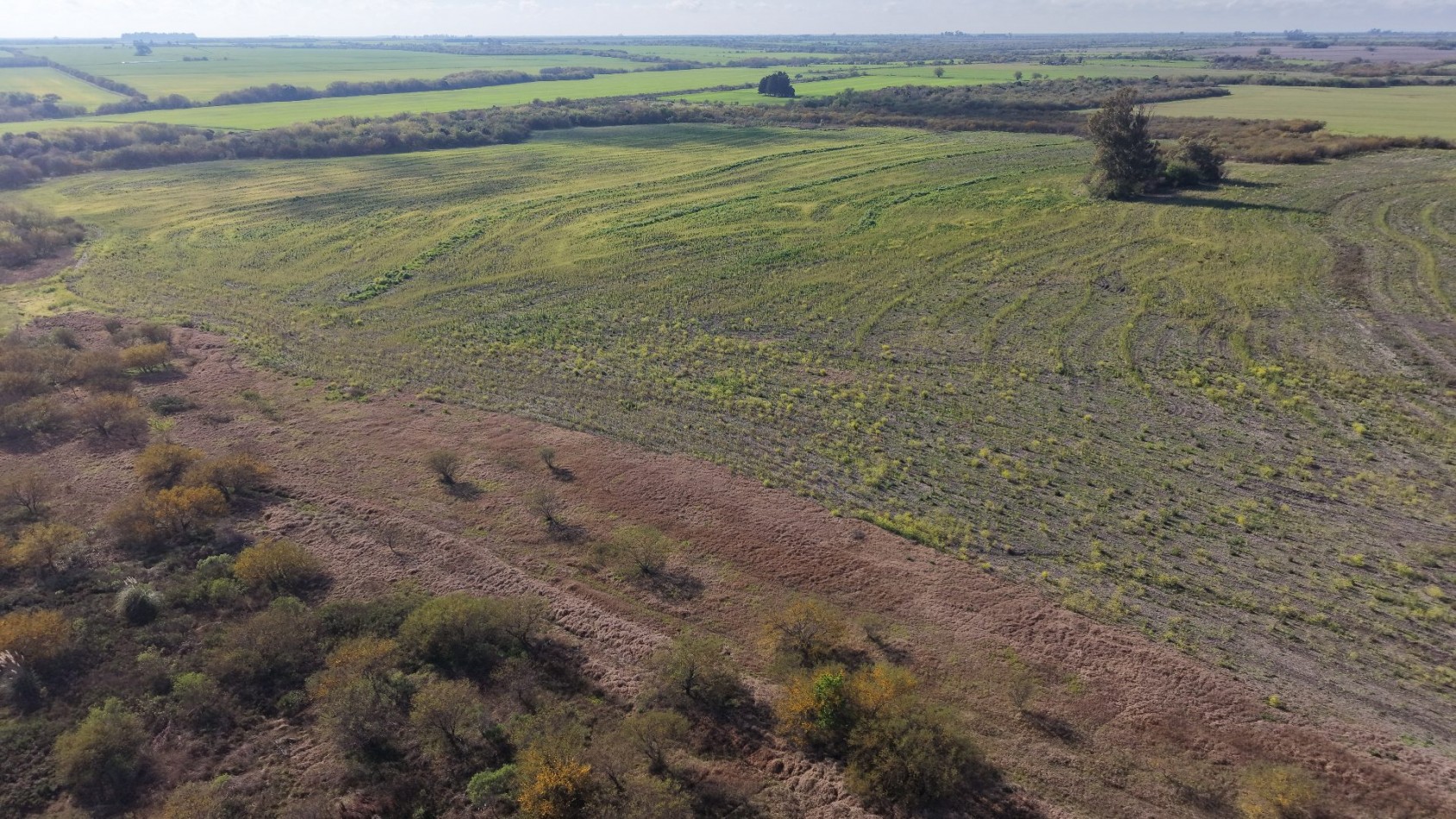 Se vende campo Agricola de 98has!!! 