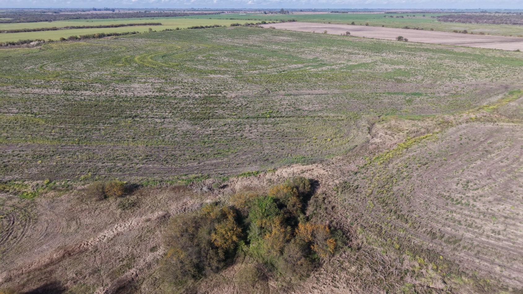 Se vende campo Agricola de 98has!!! 