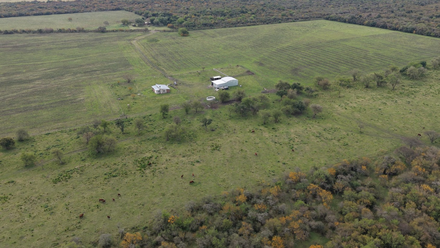 Se vende campo mixto de 162has!!!