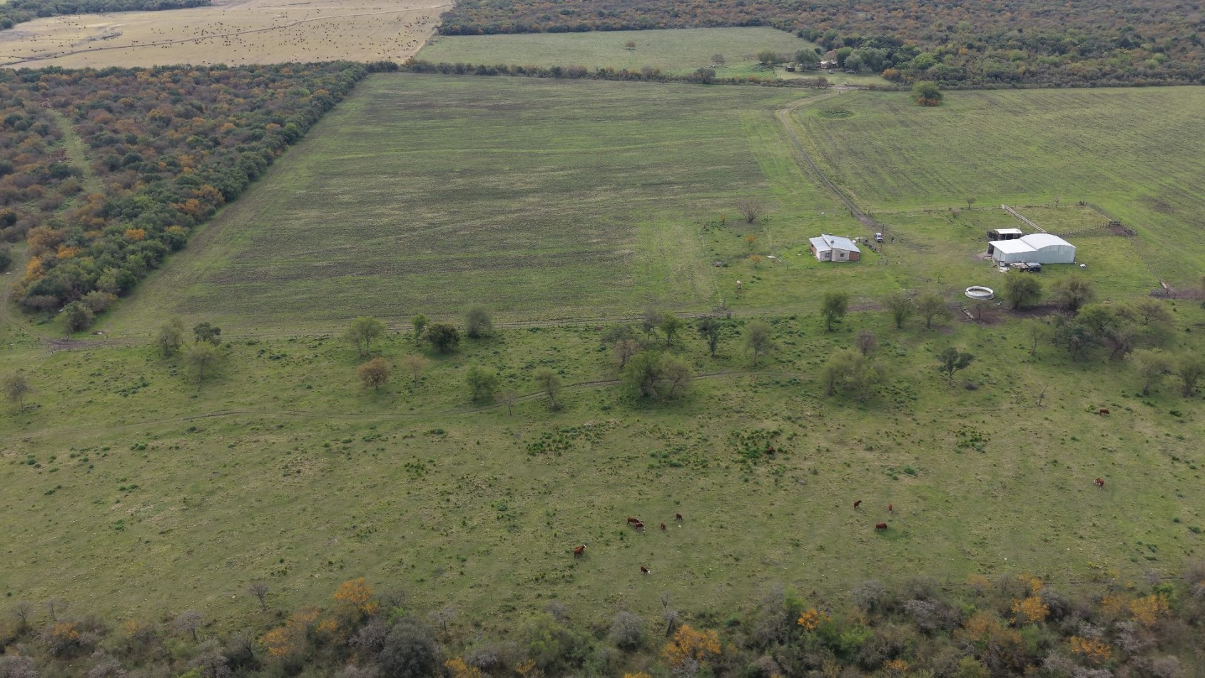 Se vende campo mixto de 162has!!!
