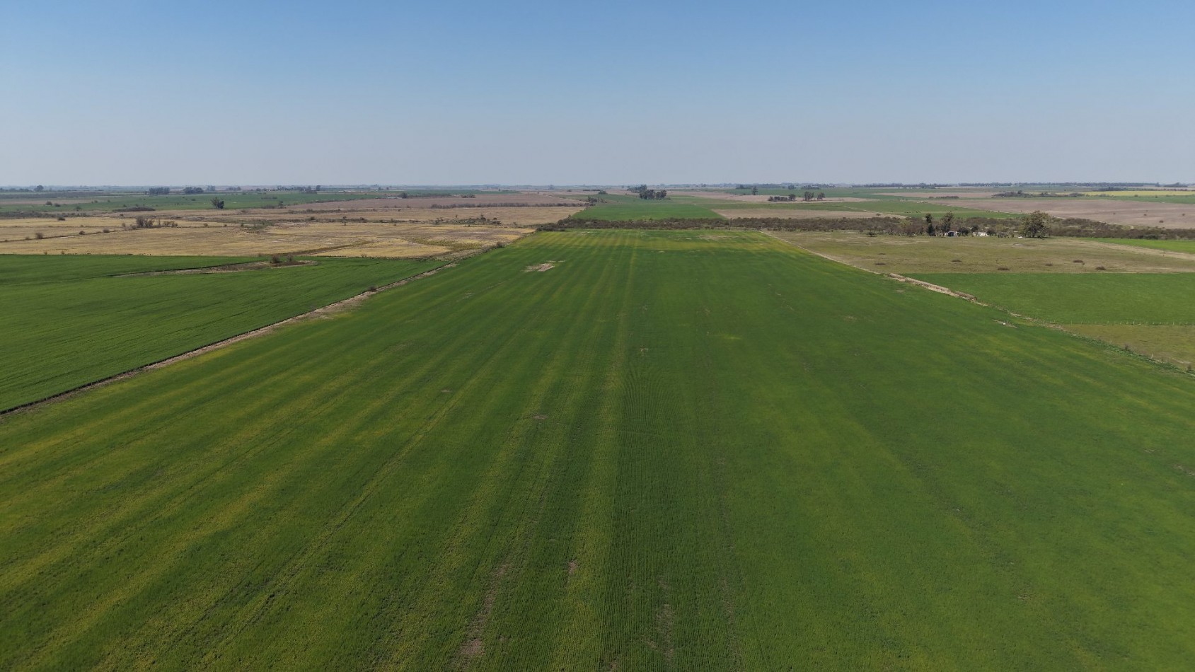 Se vende Campo de 70has en Departamento Nogoya!!
