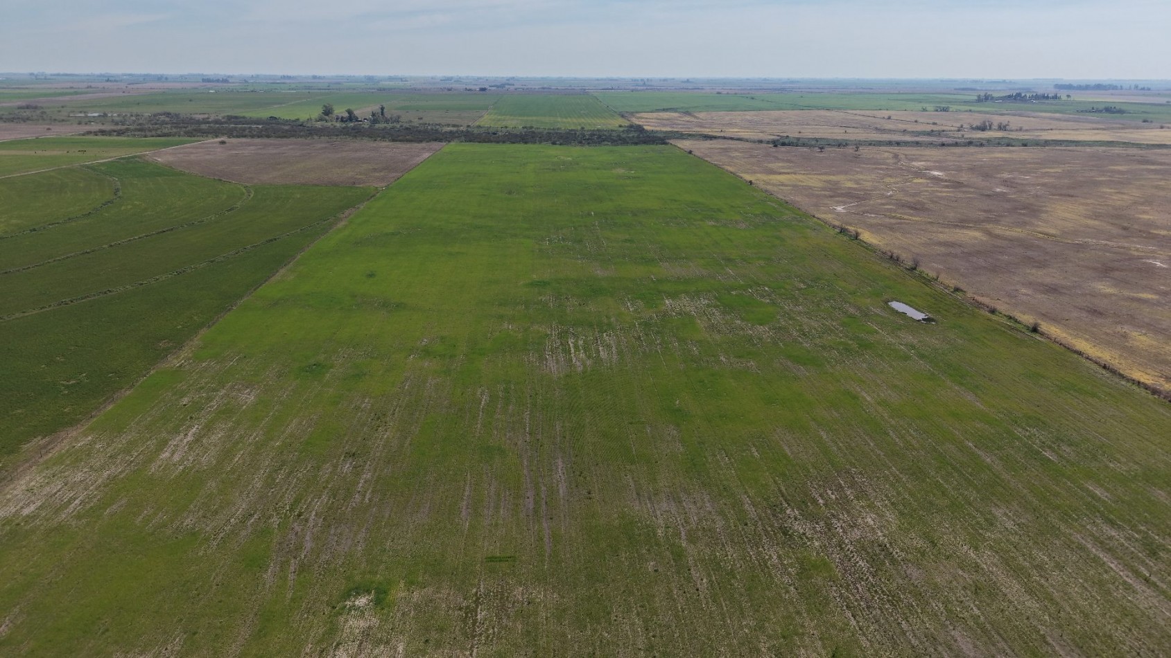 Se vende Campo de 70has en Departamento Nogoya!!