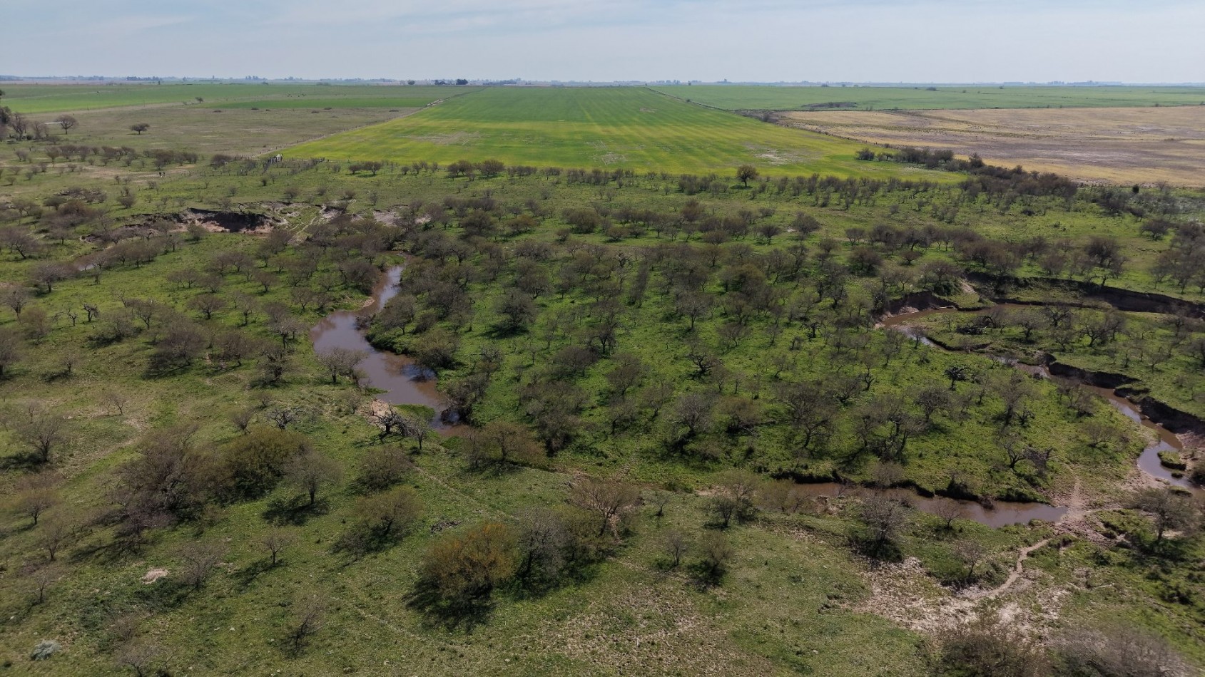 Se vende Campo de 70has en Departamento Nogoya!!