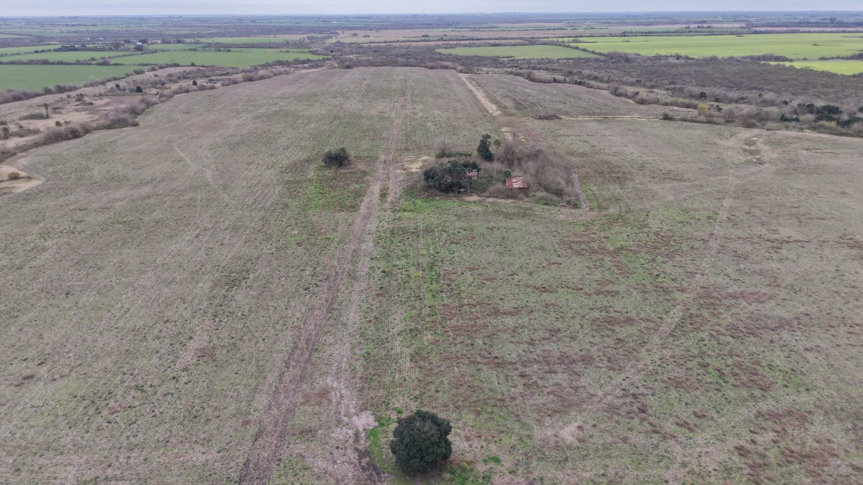 Se vende campo mixto 79has