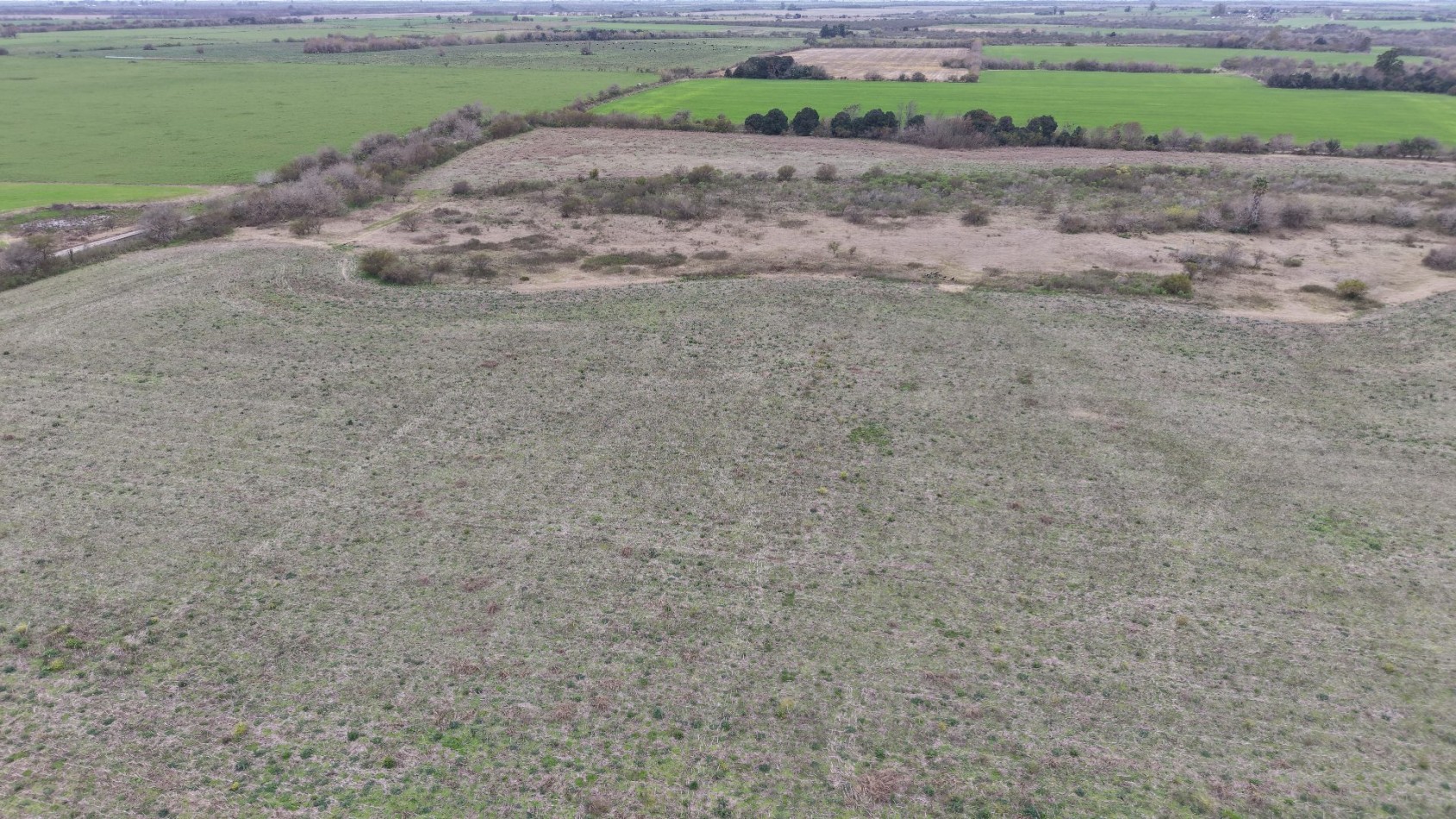 Se vende campo mixto 79has
