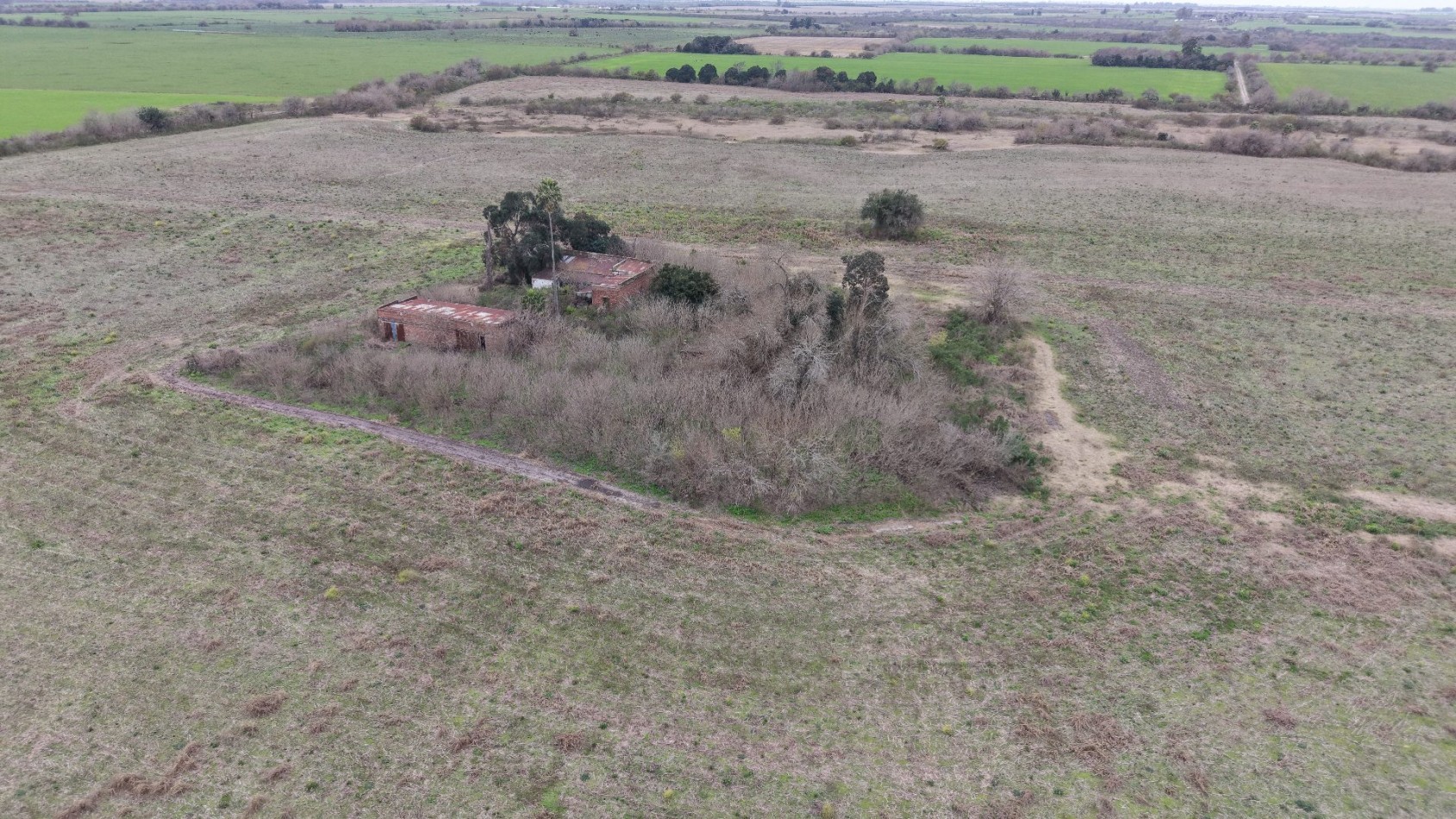 Se vende campo mixto 79has
