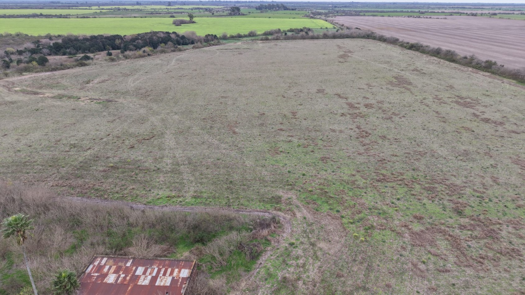 Se vende campo mixto 79has